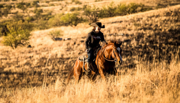 Sayos Nu Cowboy