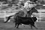 Springfield, Colorado, Ranch Rodeo, Trailer Loading, Ranch Sorting, Ranch Bronc Riding, Cowboys, Dry Creek Ranch Rodeo