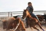 CD Olena, cutting, NCHA, TS Quarter Horses, Tabitha Smith, Hagerman Idaho