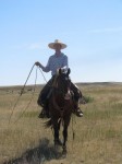 Lous Lady Sandra, Smart Chic Olena, Captain NIce, Babcock Ranch, Idaho, TS Quarter Horses
