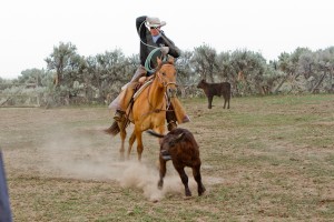 True Ranch Horse ~ Busy Texas Chex
