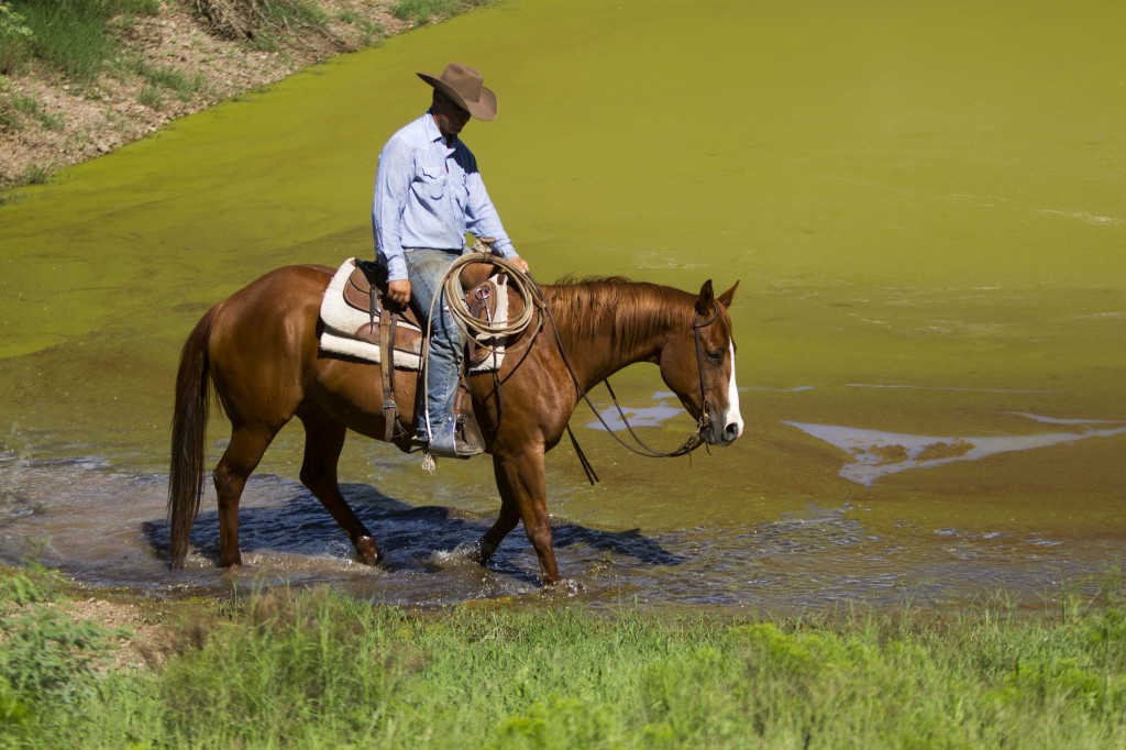 IMG_4119