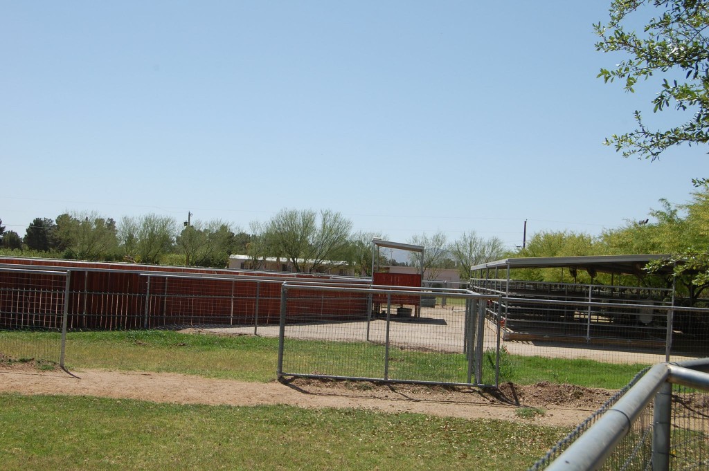 Amazing Arizona Horse Property - TS Quarter Horses