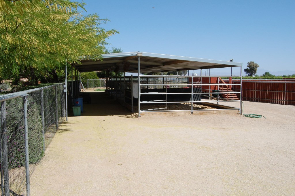 Amazing Arizona Horse Property
