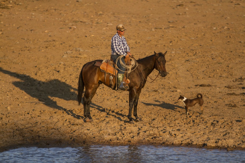 IMG_4565